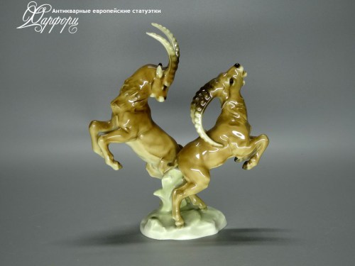 Купить фарфоровые статуэтки Hutschenreuther, Горные козлы, Германия